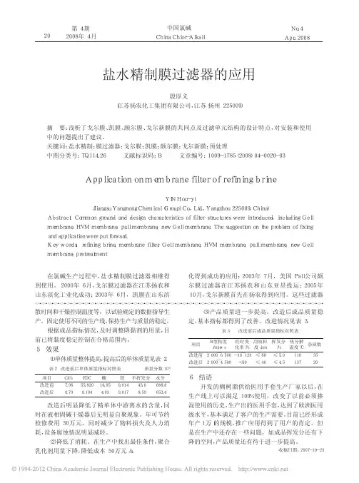 盐水精制膜过滤器的应用
