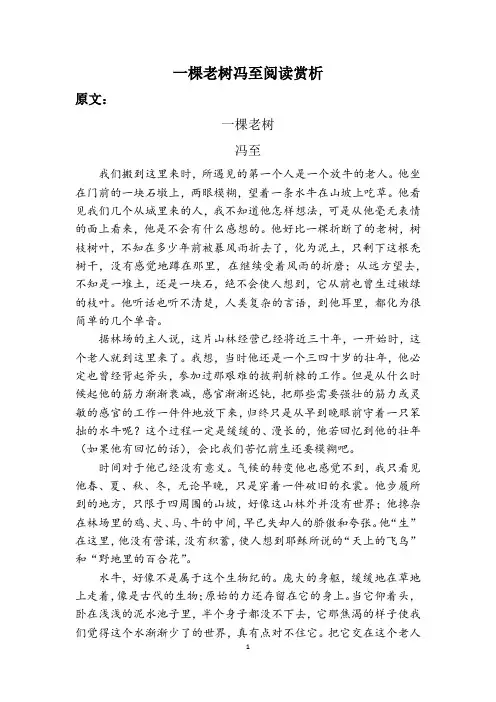 一棵老树冯至阅读赏析
