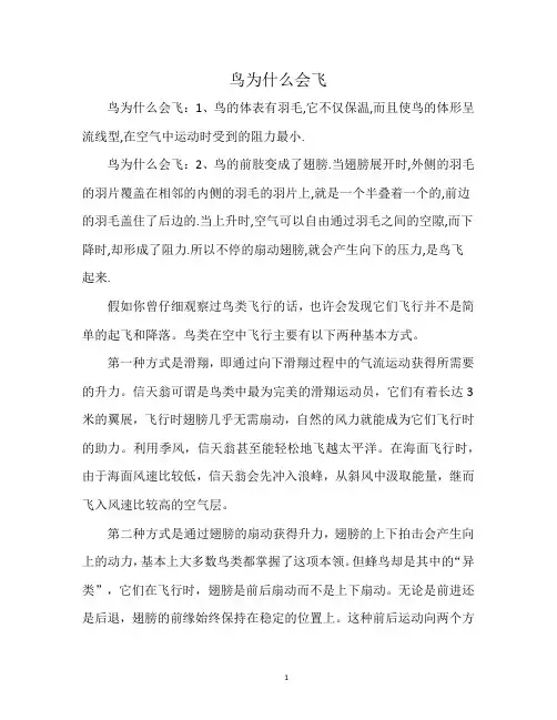 鸟为什么会飞