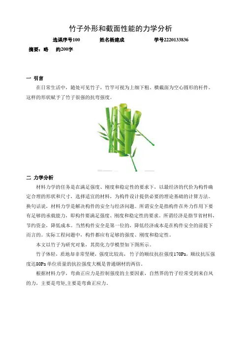 材料力学小论文 竹竿性能分析