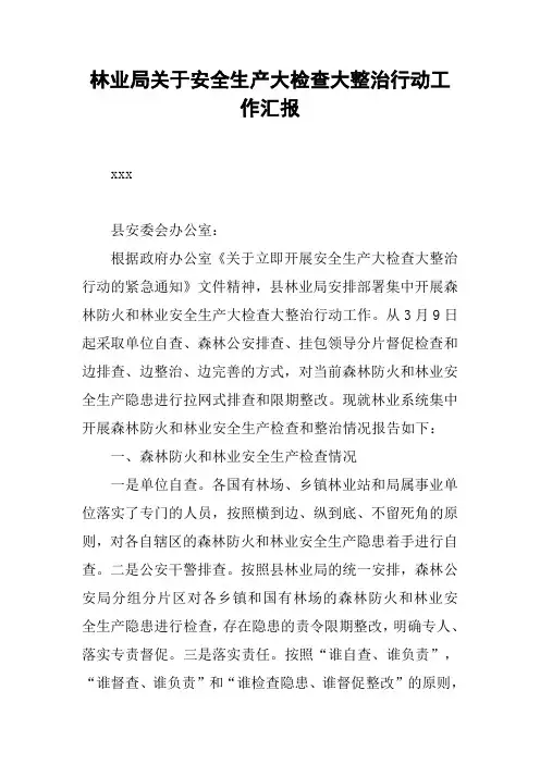 林业局关于安全生产大检查大整治行动工作汇报