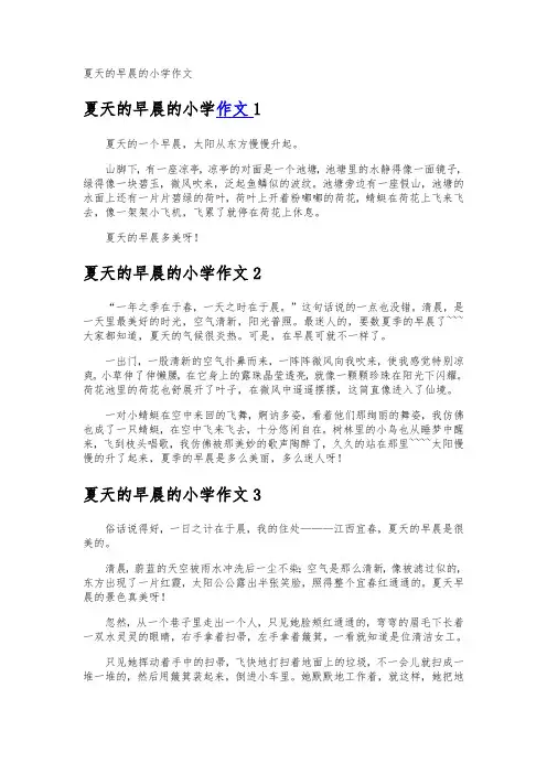 夏天的早晨的小学作文