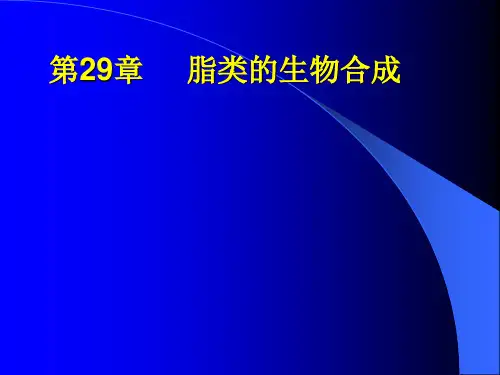 第29章  脂肪酸的合成