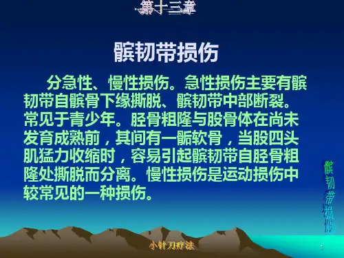 髌韧带损伤精品PPT课件
