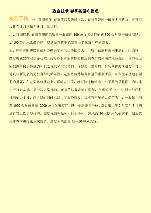 致富技术-春季茶园咋管理