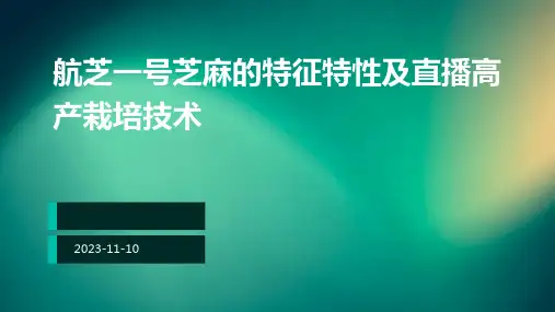 航芝一号芝麻的特征特性及直播高产栽培技术