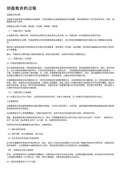 创面愈合的过程