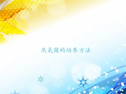厌氧菌的培养方法  ppt课件