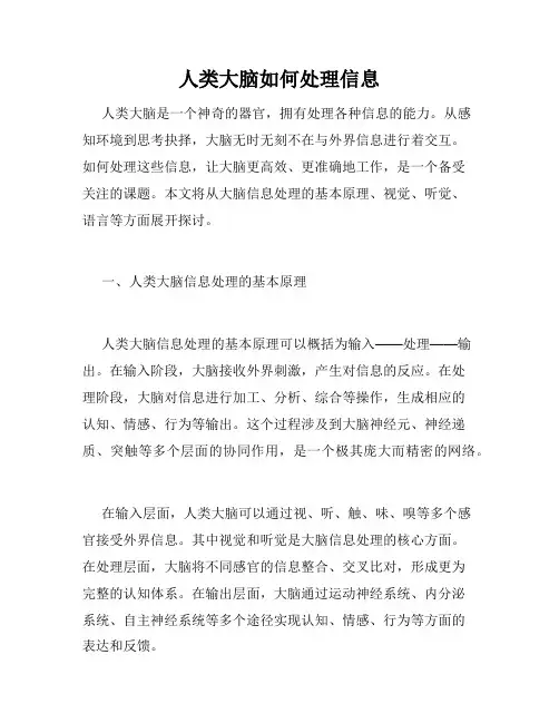 人类大脑如何处理信息