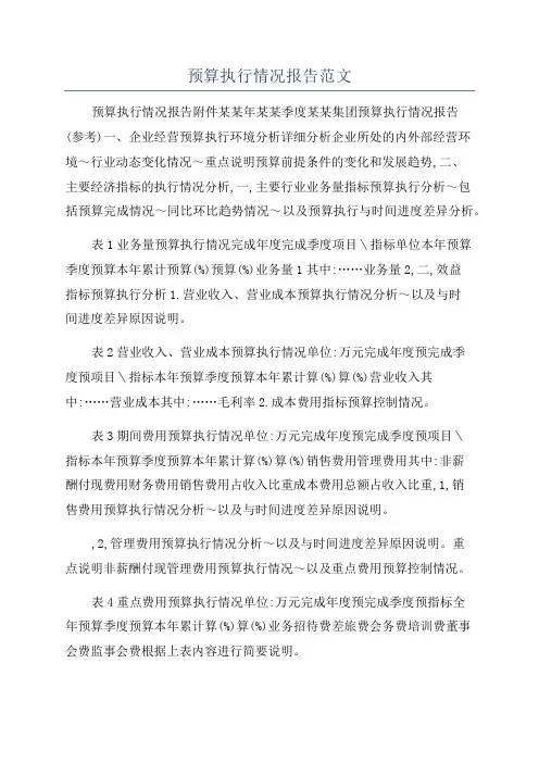 预算执行情况报告范文