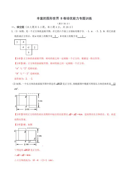 丰富的图形世界(B卷专题训练)(解析版)