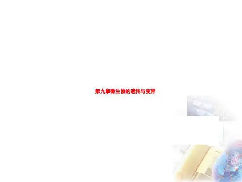 第九章微生物的遗传与变异