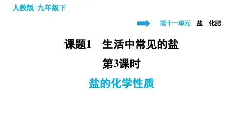 2020-2021学年人教版九年级下册化学习题课件 11.1.3 盐的化学性质