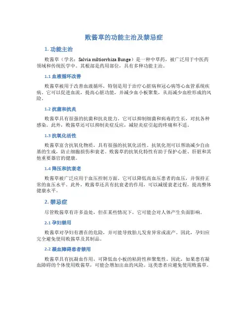 败酱草的功能主治及禁忌症