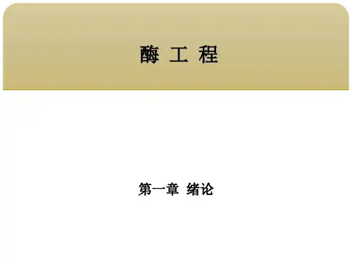 酶工程 第一章绪论 第三节酶的组成、分类与命名