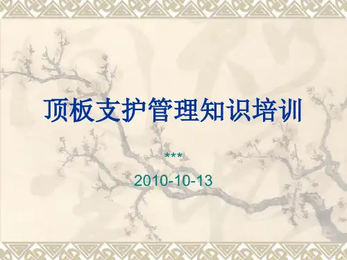 顶板支护管理知识PPT课件