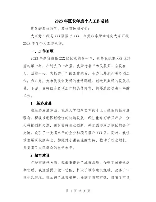 2023年区长年度个人工作总结
