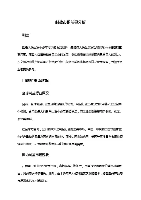 2024年制盐市场前景分析