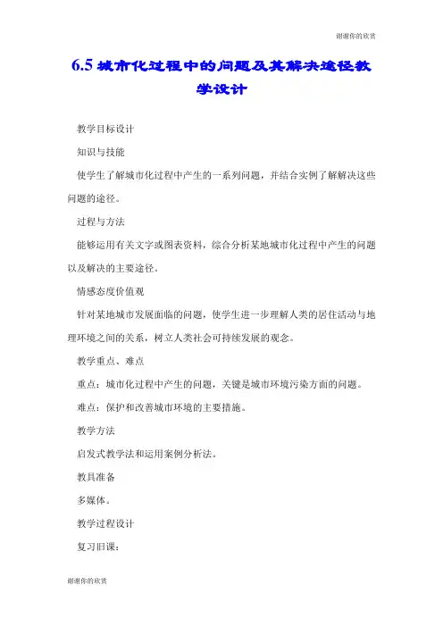 6.5城市化过程中的问题及其解决途径教学设计.doc