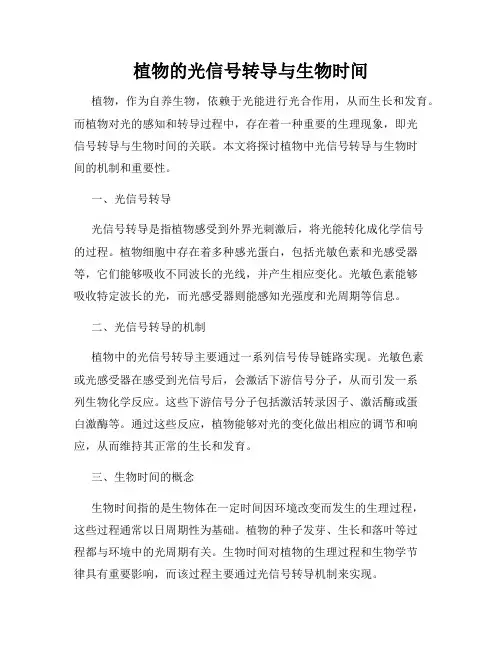 植物的光信号转导与生物时间