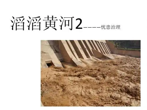 滔滔黄河2