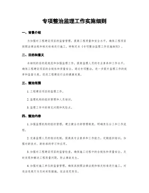 专项整治监理工作实施细则
