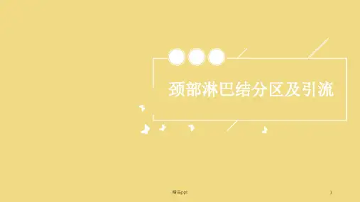 颈部淋巴结分区及引流50361PPT课件
