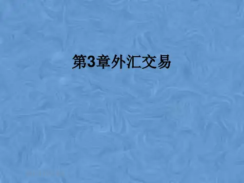第3章外汇交易