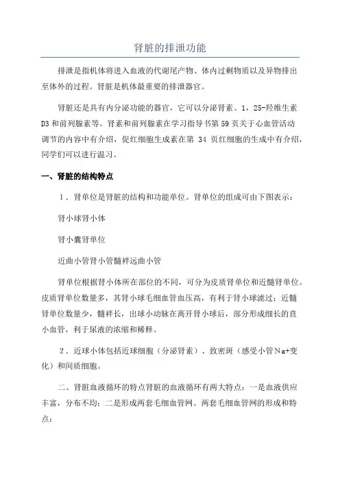 肾脏的排泄功能