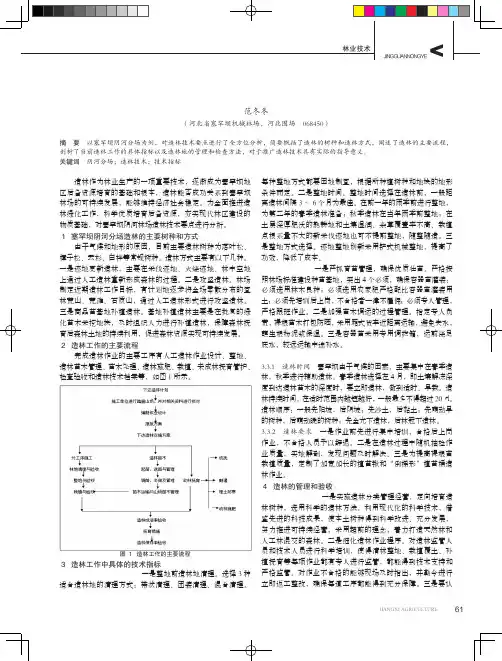 塞罕坝阴河分场造林技术要点
