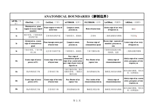 颈部淋巴结CTV勾画