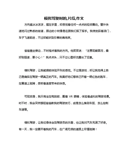 模拟驾驶时的,片段,作文