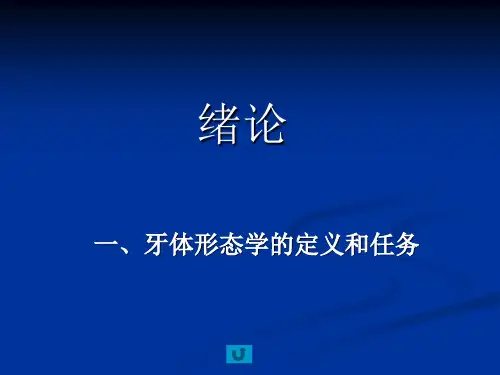 口医牙体形态学,1.牙解绪论、演化,牙的组成、分类、功能、牙位记录