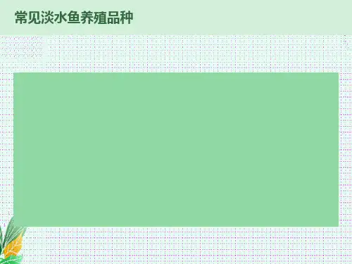 常见淡水鱼养殖品种