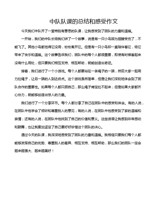 中队队课的总结和感受作文