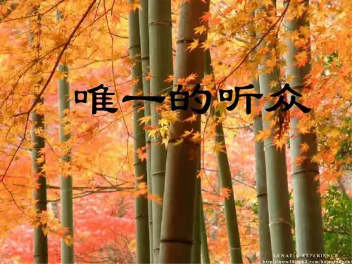 六年级语文唯一的听众2