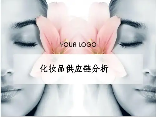 化妆品供应链分析
