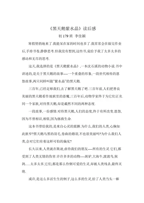 黑天鹅紫水晶