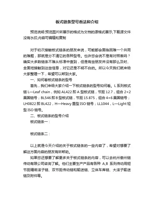板式链条型号看法和介绍