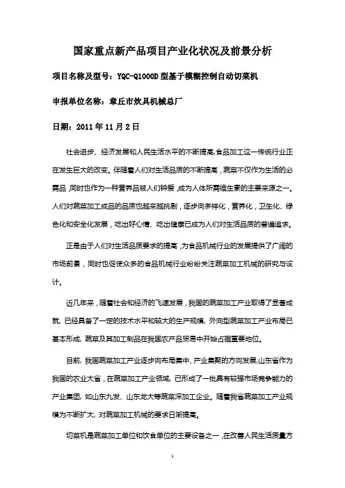 国家重点新产品项目产业化状况及前景研究