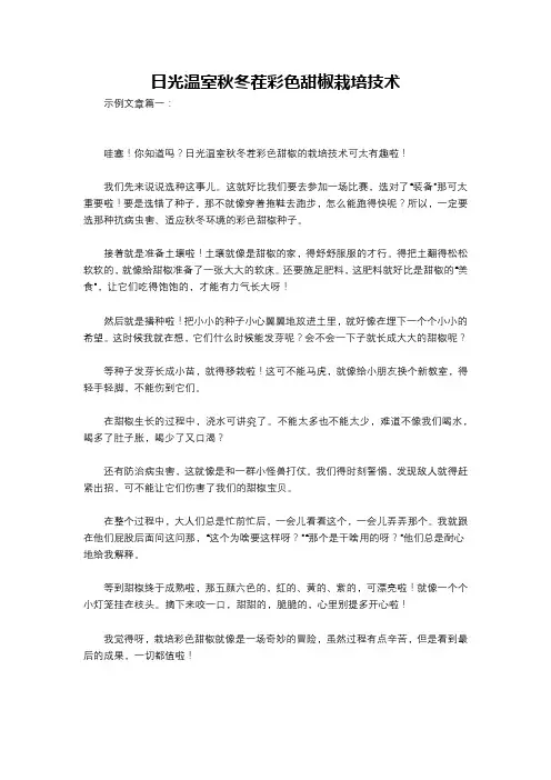 日光温室秋冬茬彩色甜椒栽培技术