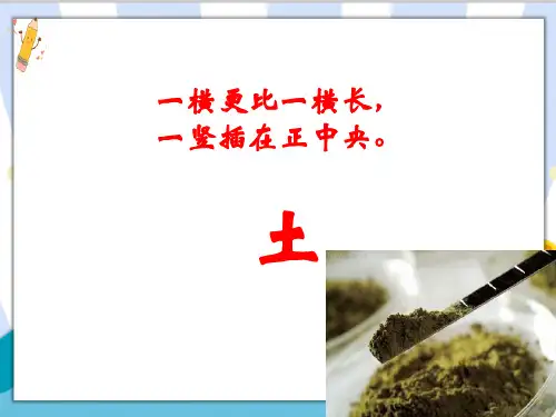 最新教科版科学二年级上册《土壤-动植物的乐园》精品课件