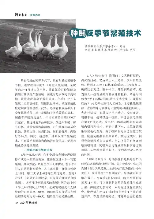 种鹅反季节繁殖技术