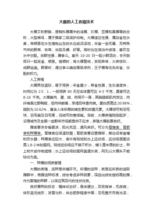 大雁的人工养殖技术