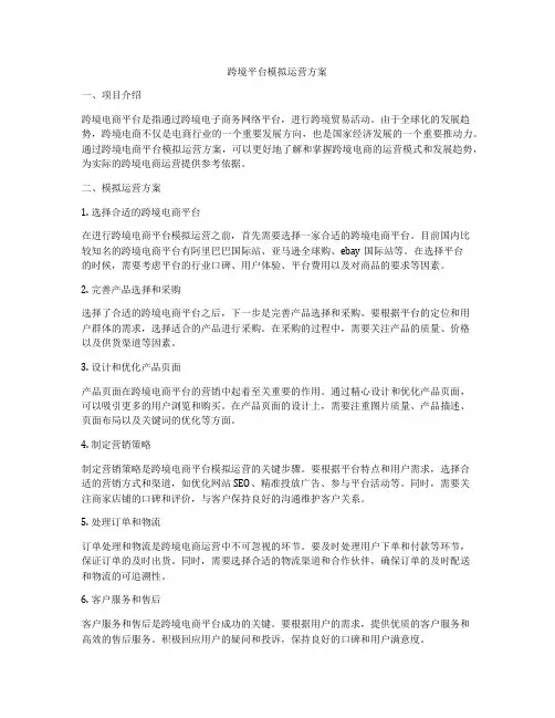 跨境平台模拟运营方案