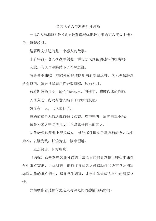 语文《老人与海鸥》评课稿