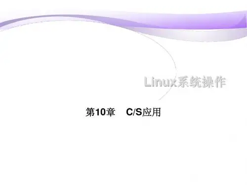 第10章 CS使用