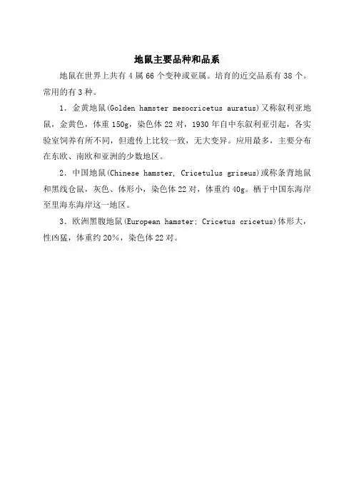 地鼠主要品种和品系