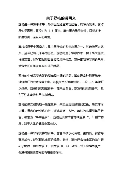 关于荔枝的说明文