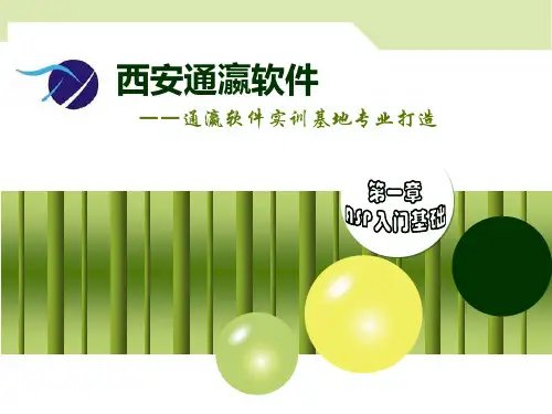 第1章ASP入门基础精品PPT课件